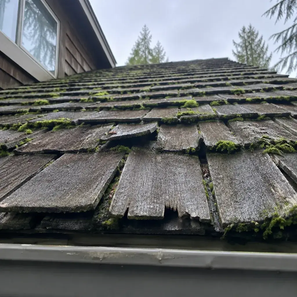 Wood Shake Roof Leak Repair roof leak repair in the United States